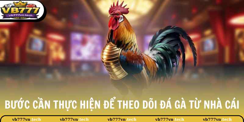 Đá Gà Cựa Dao - Kịch Tính Với Những Pha Ra Đòn Hiểm Hóc 4 Bước cần thực hiện để theo dõi đá gà từ nhà cái