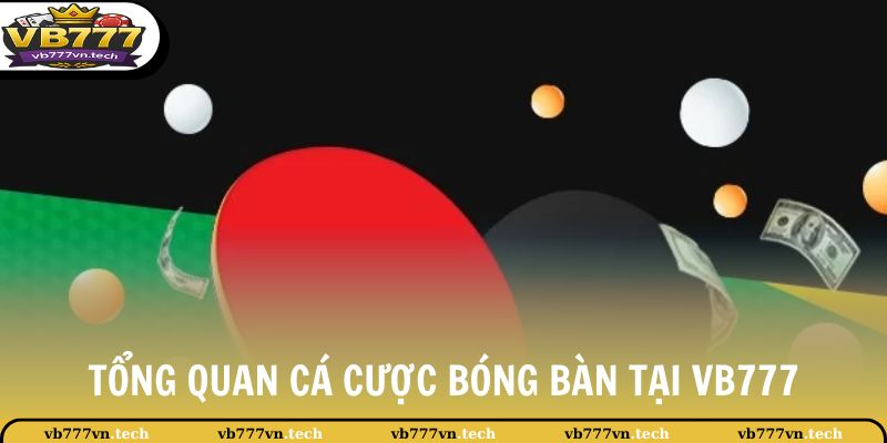 Tổng quan cá cược bóng bàn tại VB777