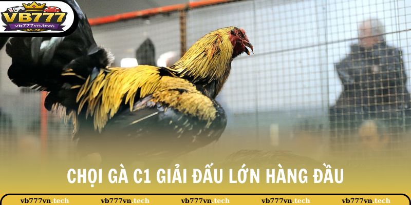 Chọi Gà C1 - Giải Đấu Lớn Hàng Đầu Khu Vực Châu Á Hiện Nay 2 Chọi gà C1 là giải đấu lớn hàng đầu