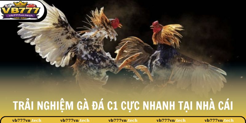 Chọi Gà C1 - Giải Đấu Lớn Hàng Đầu Khu Vực Châu Á Hiện Nay 3 Trải nghiệm gà đá C1 cực nhanh tại nhà cái