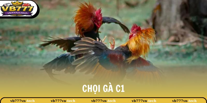 choi ga c1