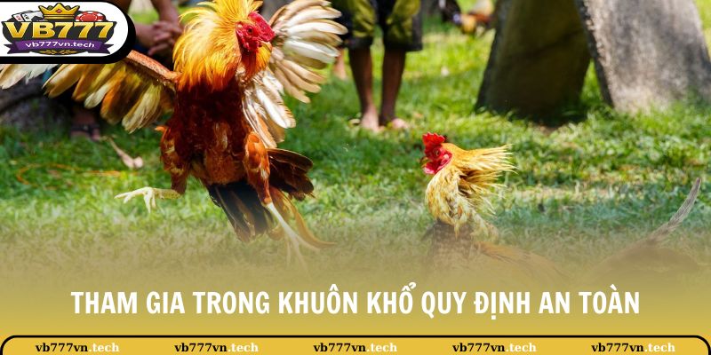 Đá Gà VB777 1 Tham gia trong khuôn khổ quy định an toàn