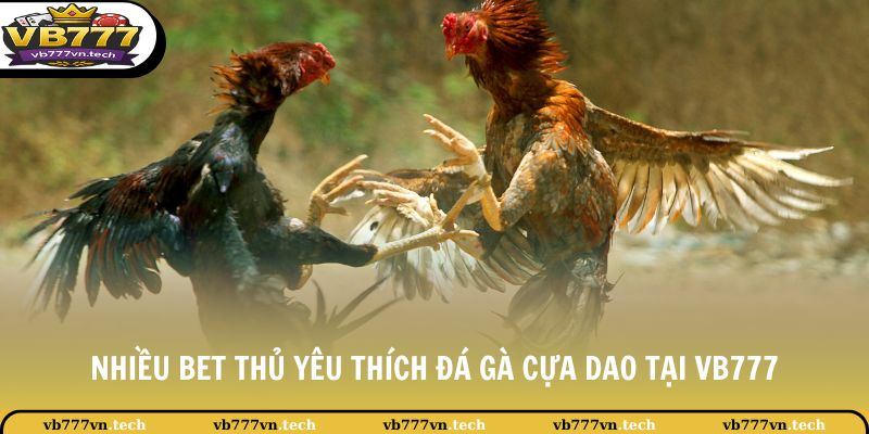 Đá Gà VB777 2 Nhiều bet thủ yêu thích đá gà cựa dao tại VB777