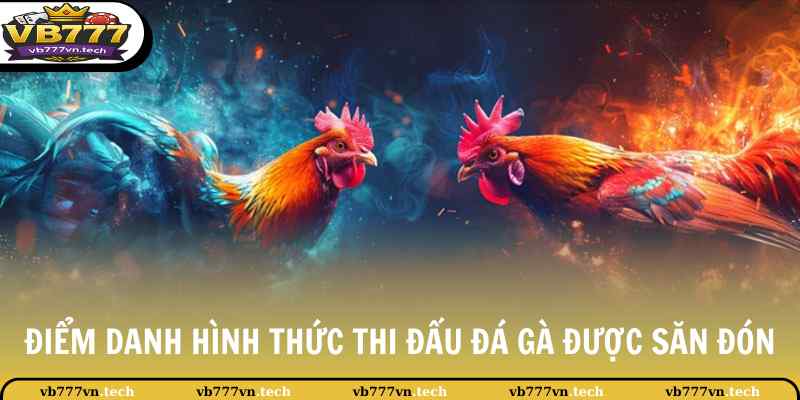 Đá Gà WS168 - Sảnh Đá Gà Trực Tiếp Full HD 4K Sắc Nét 3 Điểm danh hình thức thi đấu đá gà được săn đón