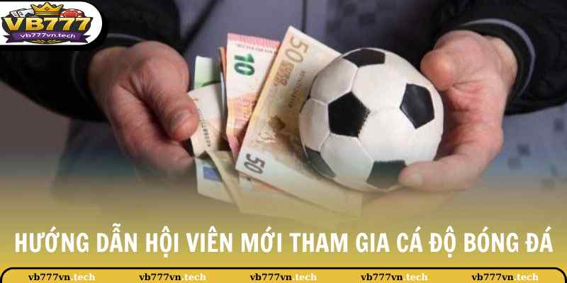 Hướng dẫn hội viên mới tham gia cá độ bóng đá