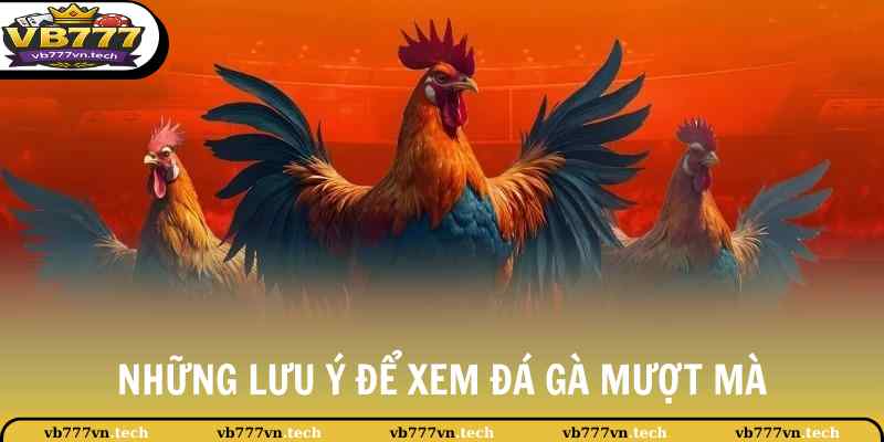 Đá Gà SV388 - Theo Dõi Những Lượt Trận Thi Đấu Kịch Tính 4 Những lưu ý để xem đá gà mượt mà