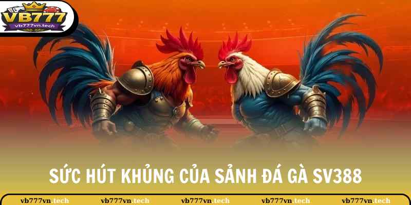 Đá Gà SV388 - Theo Dõi Những Lượt Trận Thi Đấu Kịch Tính 2 Sức hút khủng của sảnh đá gà SV388